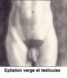 Homme-epilation-maillot-verge-et-testicules